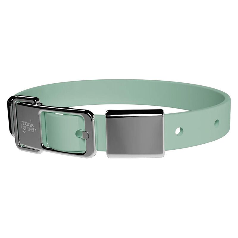 frank green Pet Collar + Name Tag - Medium image number 0